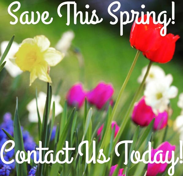 Save This Spring! Contact Us Today!
