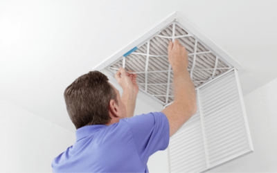 Preventing Seasonal Allergies With Air Filtration