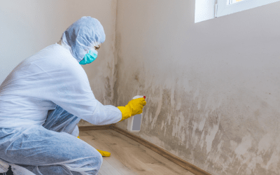 2 Crucial Tips For Preventing Mold In Your Home